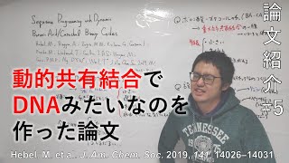 動的共有結合でDNAみたいなのを作った論文  論文紹介5 [upl. by Bartley]