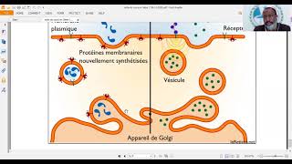 Cours sur les échanges cellulaires et les notions dendocytose et exocytose [upl. by Richmal]