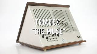 Vintage Triadex The Muse SequenceBased Synthesizer 43917 [upl. by Aihtebat527]