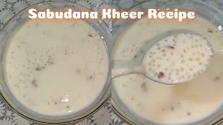 Easy Sabudana Kheer Recipe  Sago Payesh  Sago Dessert [upl. by Maurine]