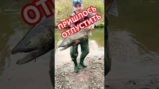 РЫБНАДЗОР 😂😂😂 рыбалка fishing прикол funnyvideo like [upl. by Schwitzer]