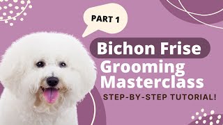 How to Groom a Bichon Frise  Bichon Frise Grooming Tutorial Part 1 [upl. by Ledniahs]