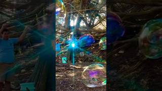 Twisty Cypress Trees and Iridescent Giant Bubbles  With ‘Deep Space’ [upl. by Clari]