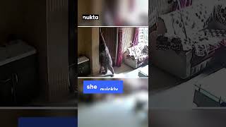 Brave Mom from Amritsar Defends Home Against Intruders Mandeep Kaurs Heroic Act  Nukta [upl. by Inihor]