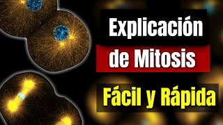 Explicación de la MITOSIS  Fácil y Rápido [upl. by Ibloc]