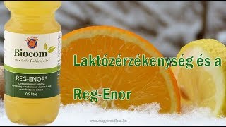 RegEnor és a LAKTÓZÉRZÉKENYSÉG [upl. by Aciraj49]