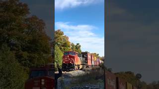 CN Intermodal Train train railroad canadarailway canadiannationalrailway cntrain cnrailway [upl. by Anoirtac725]