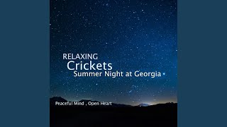 Crickets Chirping Night Sounds for Sleeping [upl. by Morita]