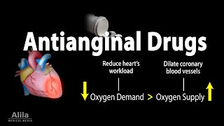 Pharmacology Antianginal Drugs Animation [upl. by Aiken]