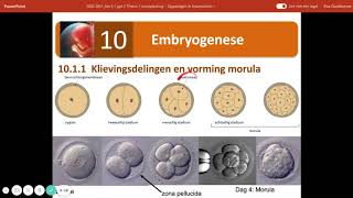 embryogenese tot week 2 [upl. by Vashtia]