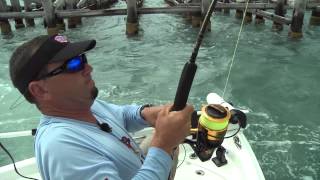 New PENN® Spinfisher® V Product Video [upl. by Caswell]