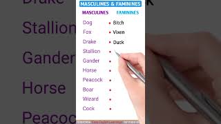 Masculines and faminines part 4 esl shorts english education [upl. by Layap917]