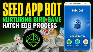 Seed App Bird Game Full Details  Seed App Egg Hatching Process  How To Use Seed App Marketplace [upl. by Arimak]