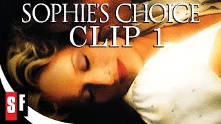 Sophies Choice 1982 acva filmfragment [upl. by Karla673]