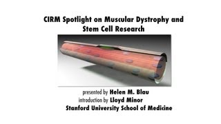 Duchenne Muscular Dystrophy and Stem Cell Research  Helen Blau Stanford Medicine [upl. by Elisha]