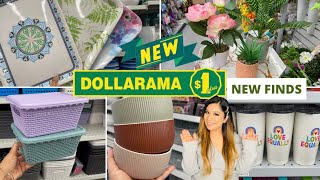 Dollarama Dollar Store Canada Finds For Home Kitchen Pantry organizers Dinnerware Decor dollarama [upl. by Trini]