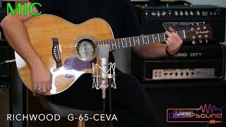 IR impulse response for acoustic guitar RICHWOOD G65CEVA [upl. by Griff]