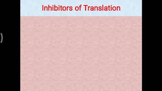 Inhibitors of Translation [upl. by Ned]