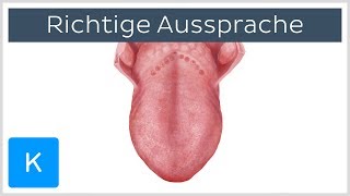 Anatomische Begriffe richtig aussprechen 4 Tipps  Anatomie des Menschen  Kenhub [upl. by Etnomal597]