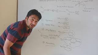 AKL23 Part 2  Preparation OF Hydrazine  Hydroxyl Amine  Phenyl Hydrazine [upl. by Corella]