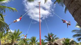 Papantla flyers  Flying dance at Costa Maya  Mexico cruise port terminal  Amazing [upl. by Sloane376]