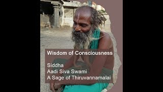 Six mystical insights into Consciousness Wisdom blessings of Aadi Narayanar [upl. by Arturo]