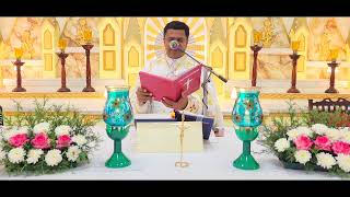 Sunday Holy Mass November 26 I 530 AM I Malayalam I Syro Malabar I Fr Bineesh Augustine [upl. by Neehsar]