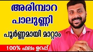 അരിമ്പാറ പാലുണ്ണി എളുപ്പത്തിൽ മാറ്റം How to get Rid Warts NEW TIPS [upl. by Esirahc]