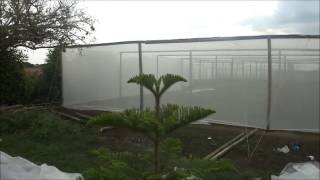 Instalación Malla AntiTrip para un cultivo de Tomates [upl. by Elaine816]