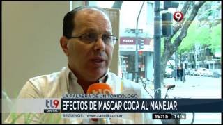 ¿Cuáles son los efectos de mascar hoja de coca al manejar [upl. by Belak]