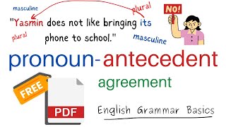 Pronoun Antecedent Agreement in English Grammar [upl. by Aicirtak]