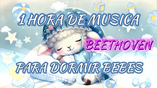 1 HORA MUSICA DE Beethoven PARA DORMIR A TU BEBE [upl. by Waldack126]