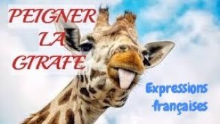 PEIGNER LA GIRAFE Expression francaise [upl. by Corbett]