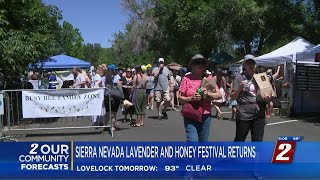 5th Annual Lavender and Honey Festival [upl. by Chapman907]