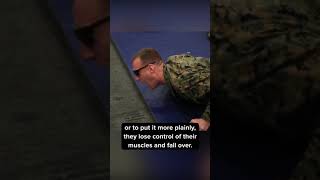 Marines Take Taser Shot [upl. by Aubree]