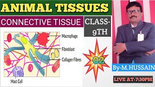 🔴🔴ANIMAL TISSUES🔴🔴LEC02🔴🔴CONNECTIVE TISSUE🔴🔴CLASS9TH🔴🔴 [upl. by Lipinski810]