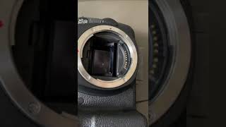 Canon EOS 6D Shutter sound [upl. by Flem]