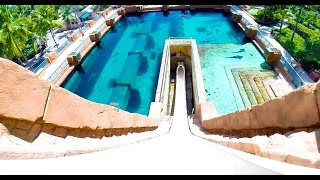 Leap of Faith  Water Slide  Atlantis Paradise Island Bahamas [upl. by Ertha]