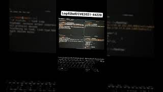 log4j RCE exploitation POC  log4shell exploitation  CVE202144228 [upl. by Hanako]