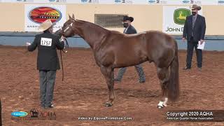 2020 AQHA Open Aged Stallions [upl. by Idyh]