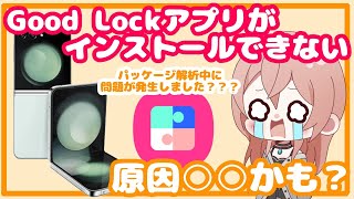 【Galaxy】GoodLock アプリがインストールできないときの対処法 [upl. by Lail69]