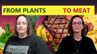 She Switched From Plant Based Diet to Carnivore amp This Happened TeresaOPHDCoach [upl. by Karlene]