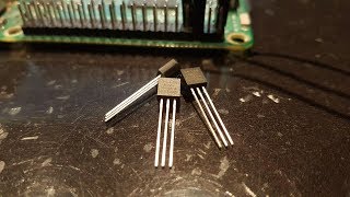 Connecting a DS18B20 Temperature Sensor to the Raspberry Pi easy [upl. by Fineberg881]