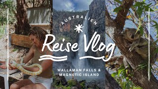 Der längste Wasserfall Australiens Camping Alltag amp Koalas auf Magnetic Island [upl. by Calder]