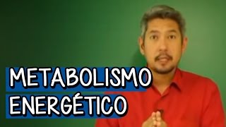 METABOLISMO ENERGÉTICO  BIOLOGIA  DESCOMPLICA [upl. by Lesli]