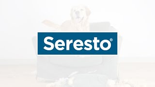 Vets Recommend Seresto® to Help Stop Sucking Situations for Your Pets 15s [upl. by Tibbs]