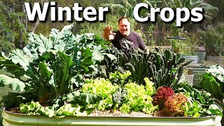 What Vegetable Crops Im Growing and Sowing NOW in WINTER Garden [upl. by Yenahc]