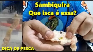 Como iscar e usar a SAMBIQUIRA Pega Peixe [upl. by Salokkin146]