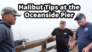 California Halibut Fishing Tips at the Oceanside Pier  Pier Fishing in California [upl. by Neelhtak986]