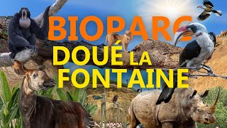 Bioparc DouélaFontaine – Der schönste Zoo Frankreichs  ZooEindruck [upl. by Nrojb]